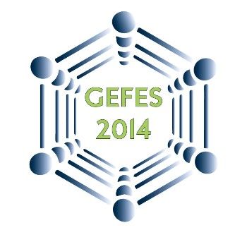 Imagen GEFES 2014